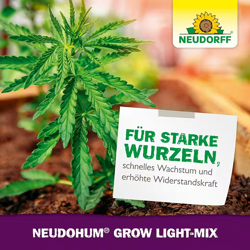 NEUDORFF NeudoHum Grow Light-Mix Spezialerde 10 L Blumenerde Substrat