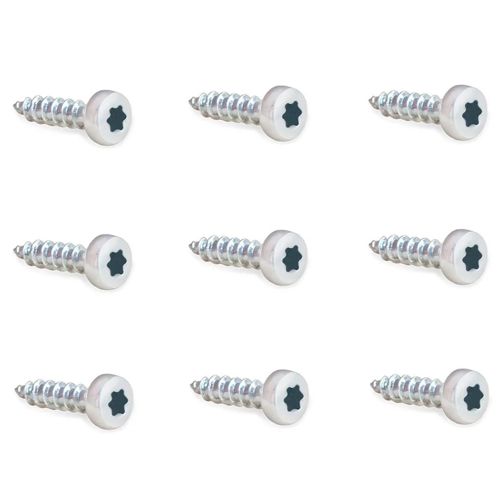 PRIMEBAG Torx T10 Schrauben Bodendüse Vorwerk Kobold EB 350 351